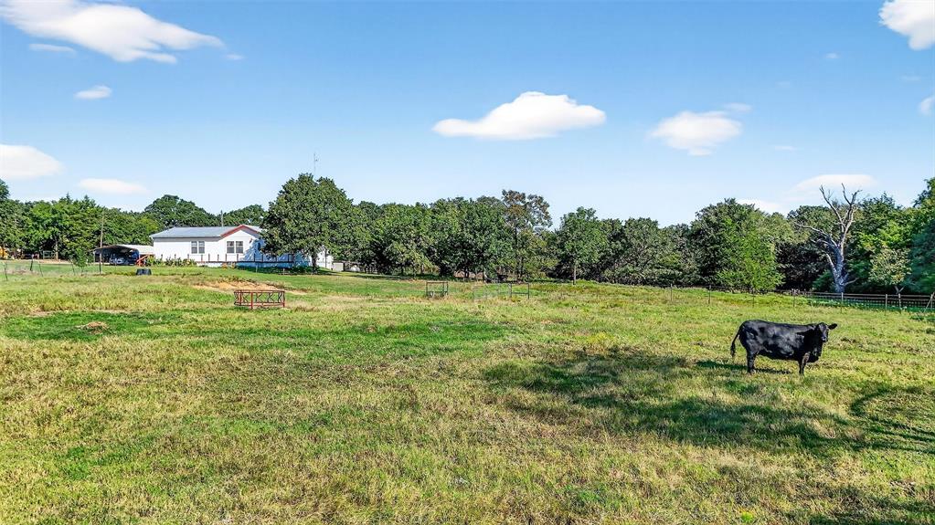 437 County Road 292 Property Photo 11
