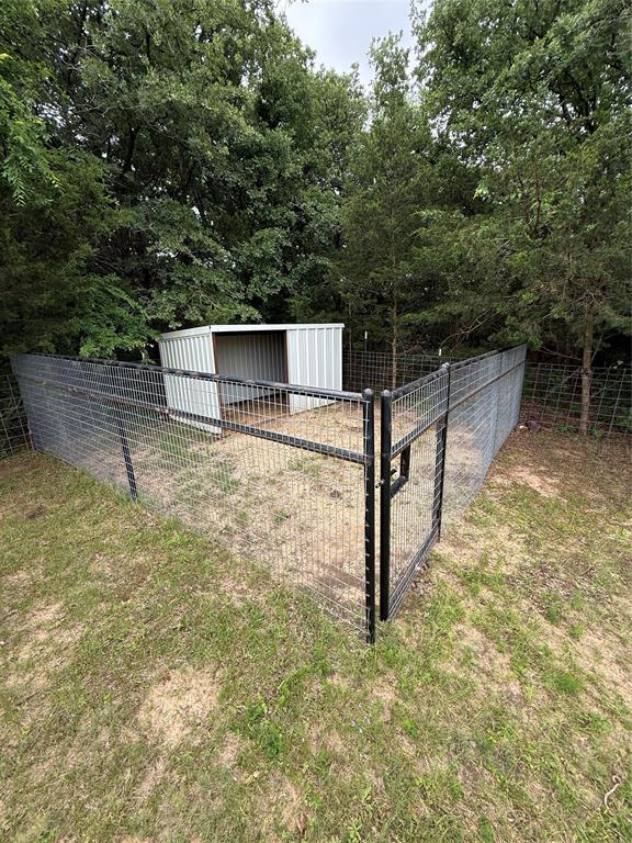 3351 County Road 147 Property Photo 11