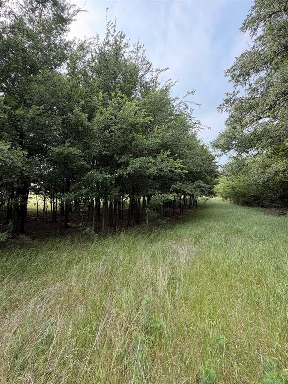 345 Cr 3346 Property Photo 11