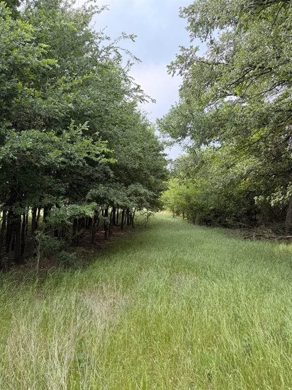 345 Cr 3346 Property Photo 13