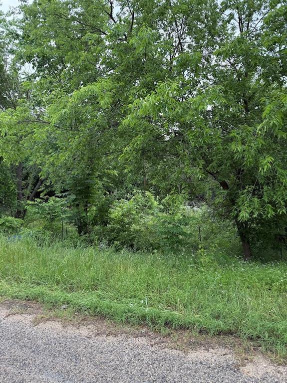 7419 Cottonwood Creek Road Property Photo 1