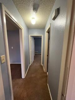 304 Mcbride Street Property Photo 8