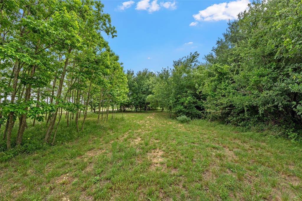 125 Private Road 245 Property Photo 19