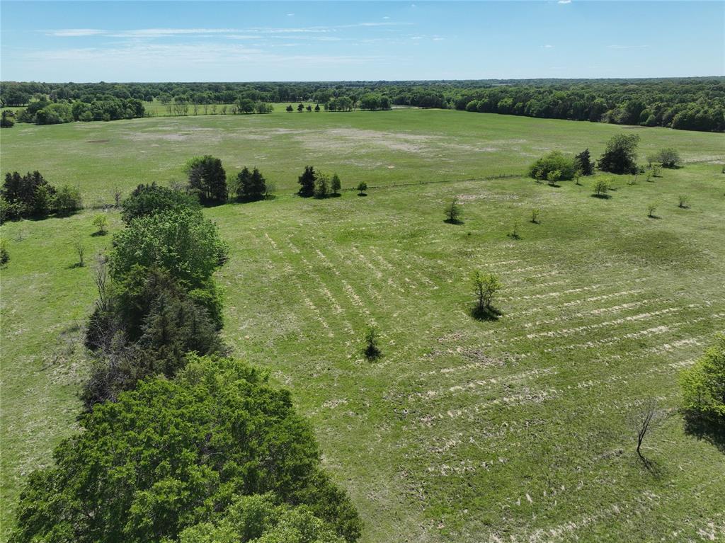 001 County Road 2145 Property Photo 8