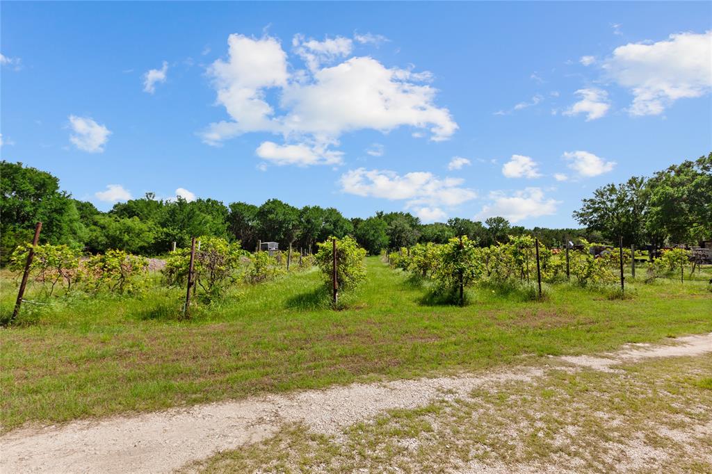 106 Private Road 1381 Property Photo 4