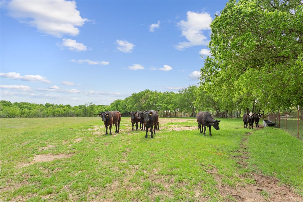1277 Hcr 4251 Property Photo 8