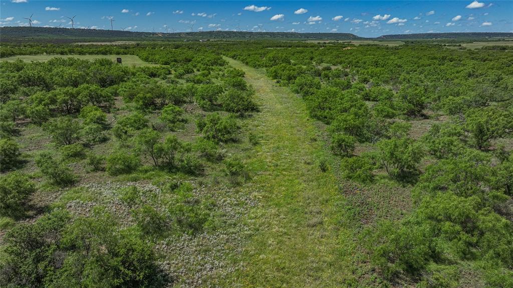 6025 Fm 504 Property Photo 34