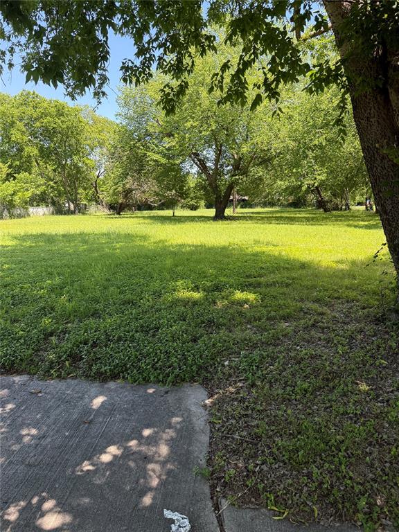 1022 Armeda Avenue Property Photo 5