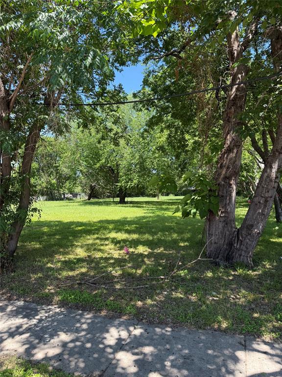 1022 Armeda Avenue Property Photo 6