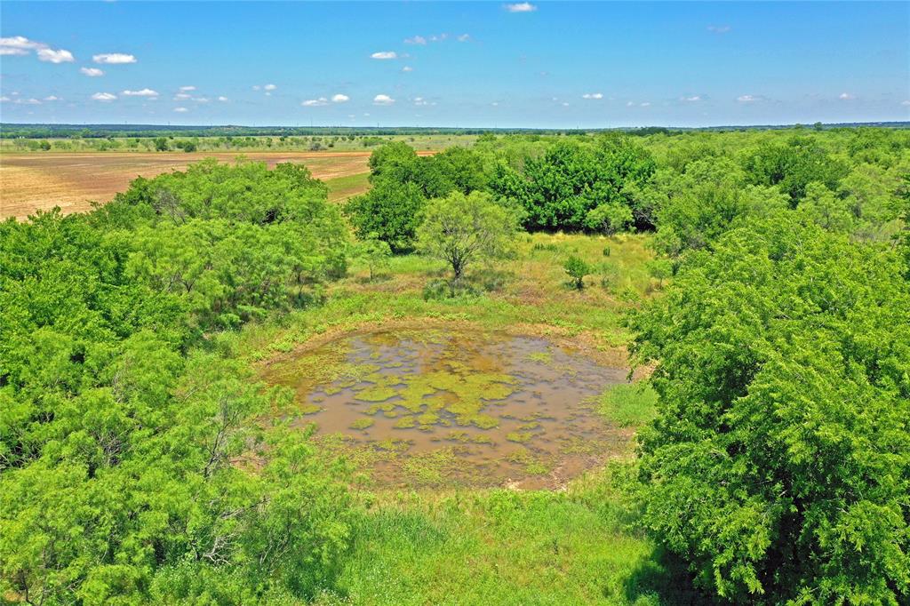 36 Acres Fm 2210 Property Photo 4