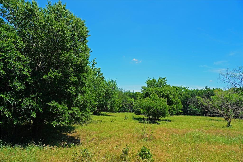 36 Acres Fm 2210 Property Photo 8
