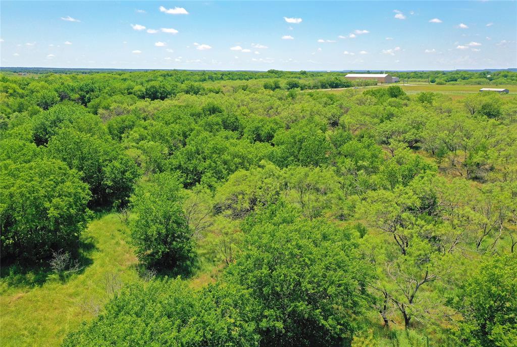 36 Acres Fm 2210 Property Photo 10