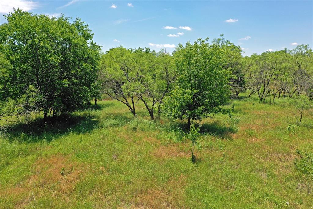 36 Acres Fm 2210 Property Photo 11