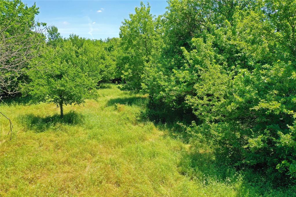 36 Acres Fm 2210 Property Photo 13
