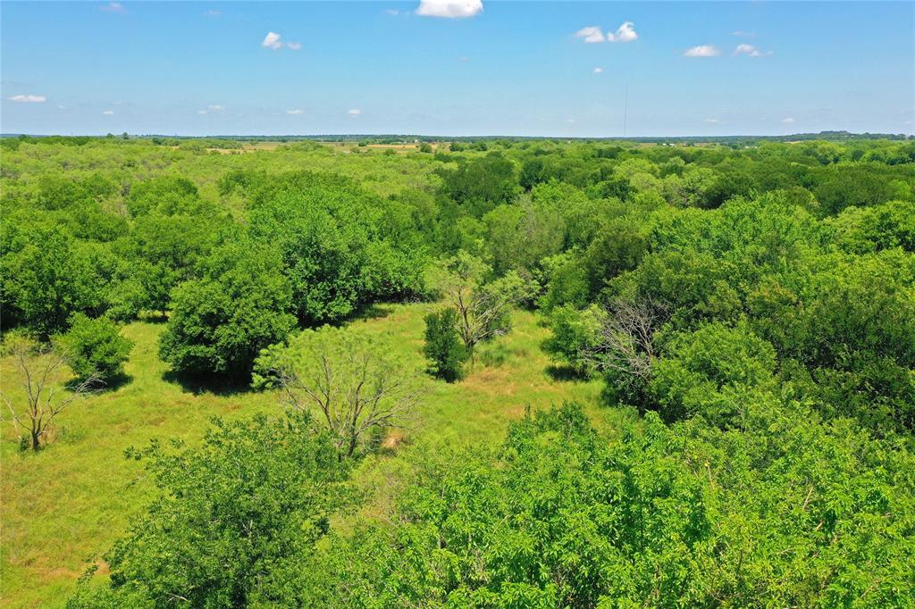 36 Acres Fm 2210 Property Photo 14