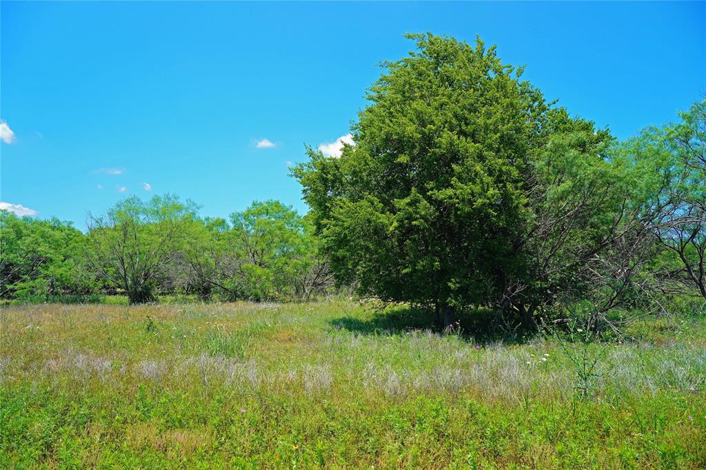 36 Acres Fm 2210 Property Photo 16