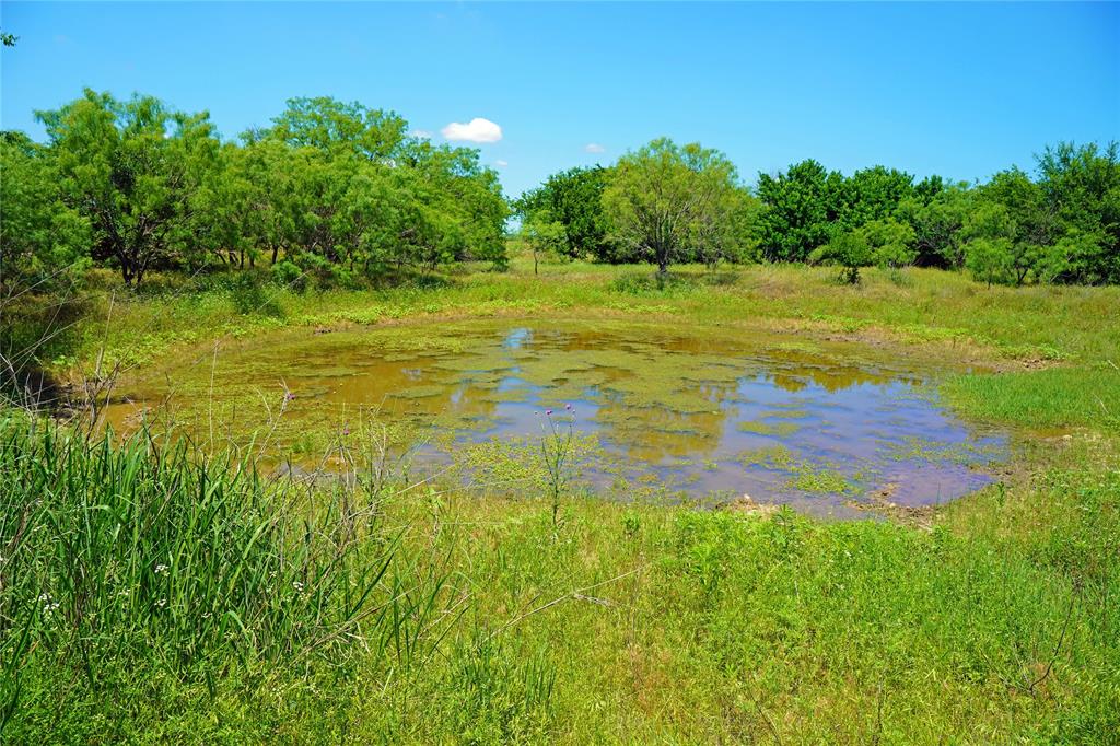 36 Acres Fm 2210 Property Photo 17