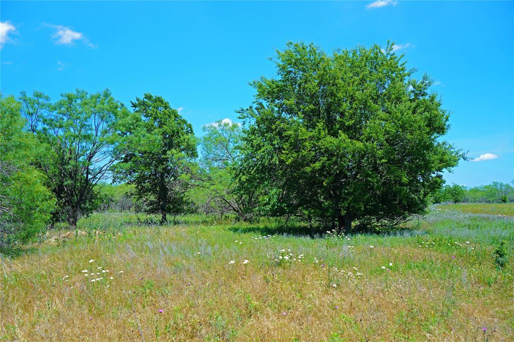 36 Acres Fm 2210 Property Photo 19