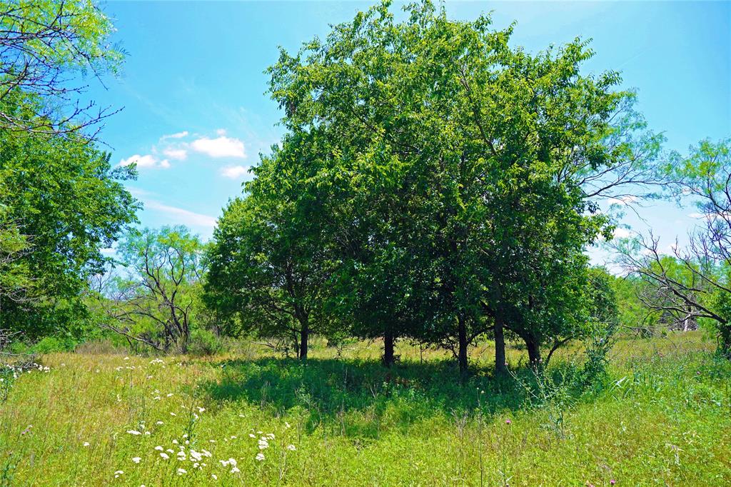 36 Acres Fm 2210 Property Photo 20