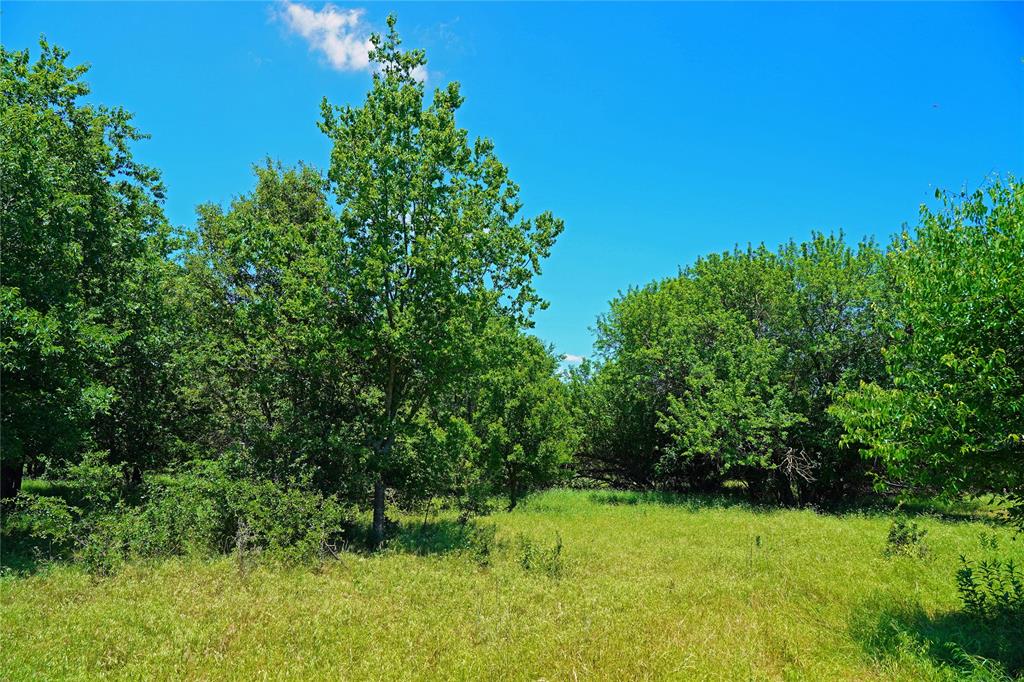 36 Acres Fm 2210 Property Photo 21