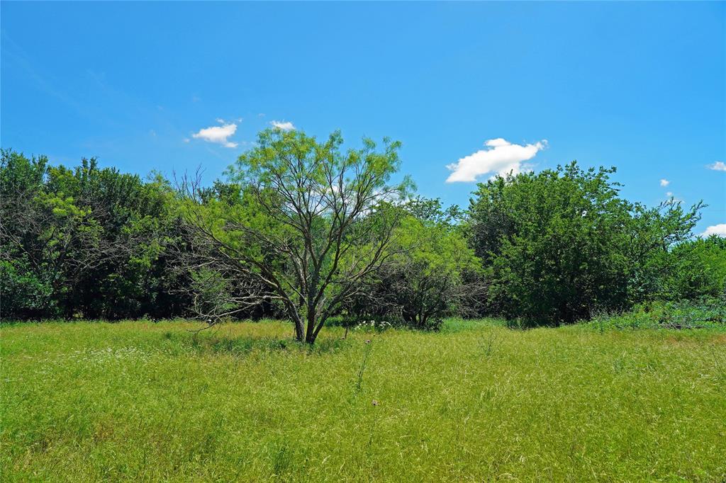 36 Acres Fm 2210 Property Photo 22