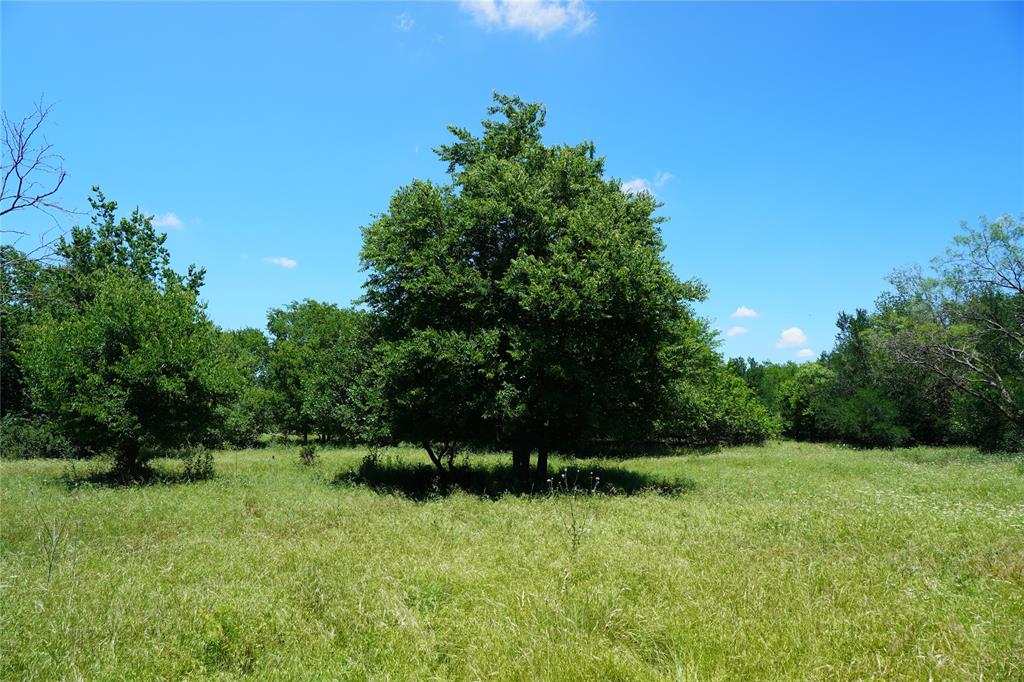 36 Acres Fm 2210 Property Photo 23