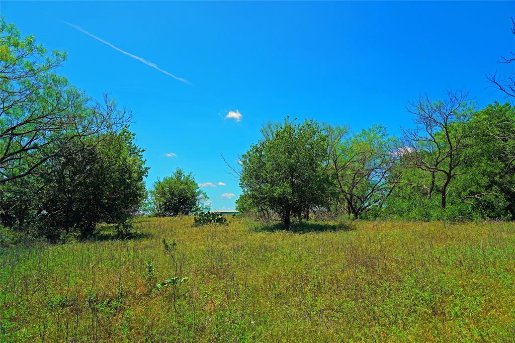 36 Acres Fm 2210 Property Photo 25