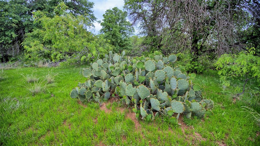 3377 Lodge Creek Road Property Photo 28