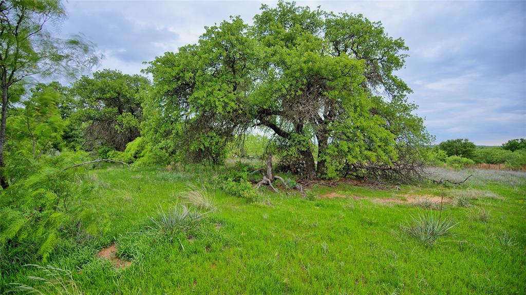 3377 Lodge Creek Road Property Photo 33