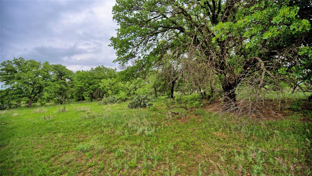 3377 Lodge Creek Road Property Photo 39