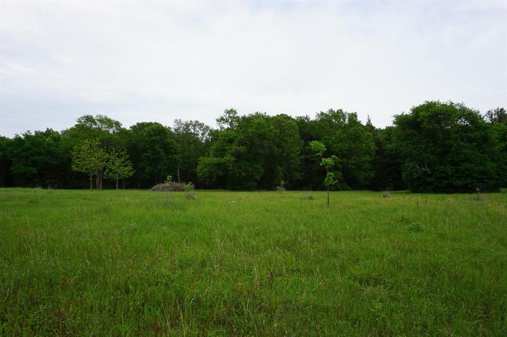 Tbd2 County Road 1200 Property Photo 4