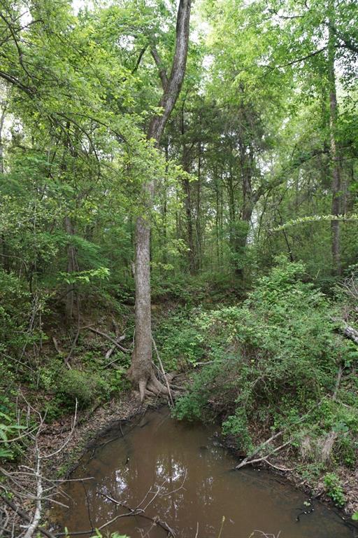 Tbd2 County Road 1200 Property Photo 6