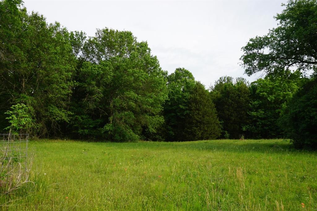 Tbd2 County Road 1200 Property Photo 7