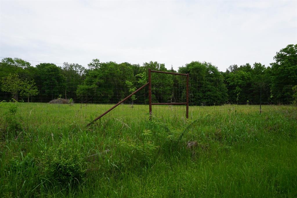 Tbd2 County Road 1200 Property Photo 17