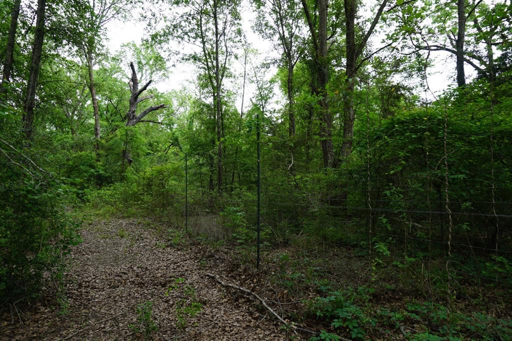 Tbd2 County Road 1200 Property Photo 20