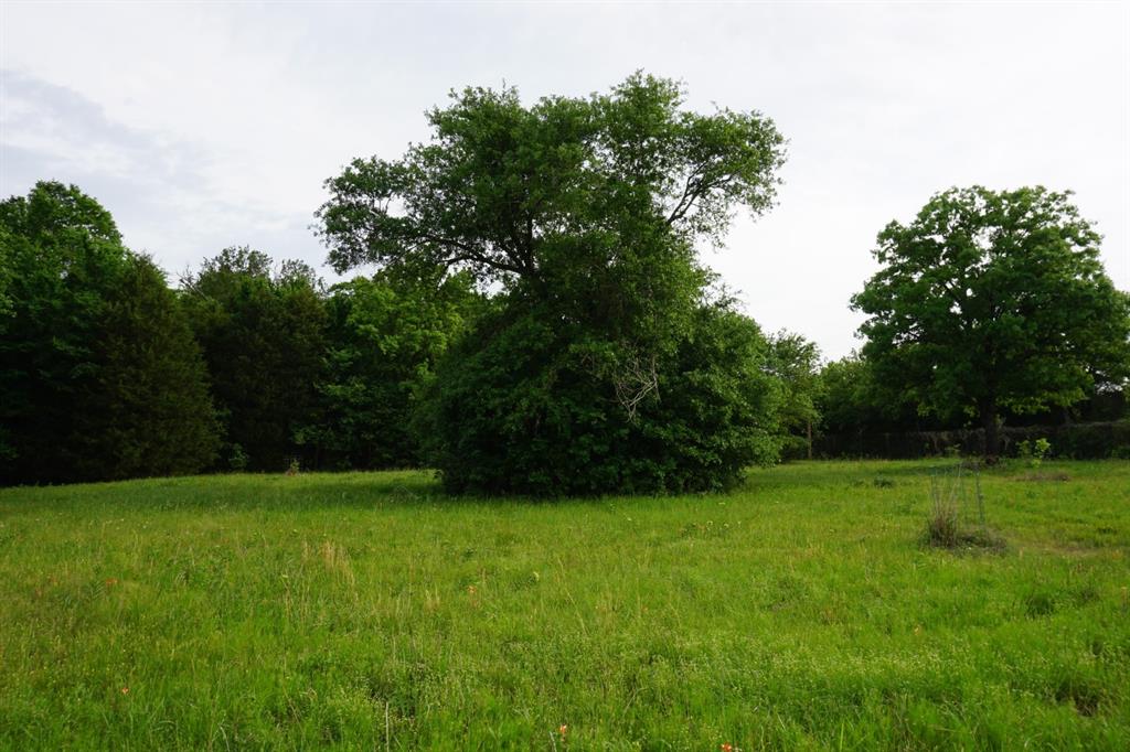 Tbd2 County Road 1200 Property Photo 21
