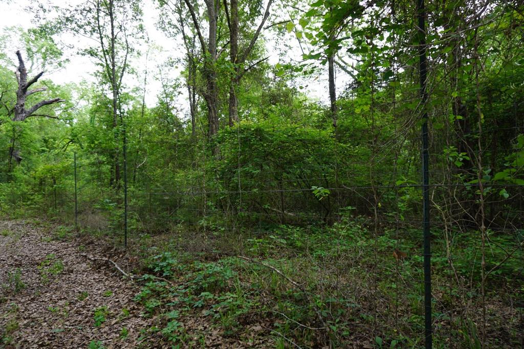 Tbd2 County Road 1200 Property Photo 22