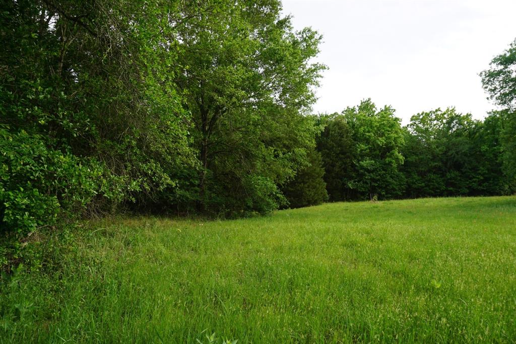 Tbd2 County Road 1200 Property Photo 25