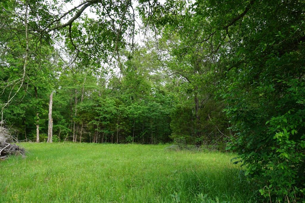 Tbd2 County Road 1200 Property Photo 27