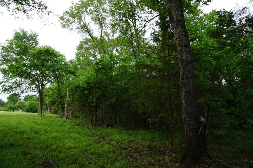 Tbd2 County Road 1200 Property Photo 29