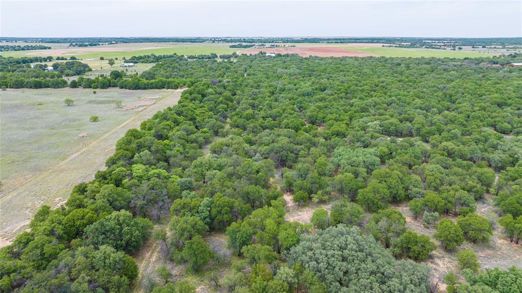 Tbd Fm 3368 Property Photo 13