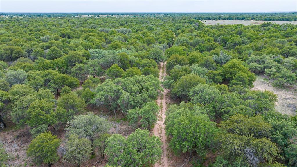 Tbd Fm 3368 Property Photo 18