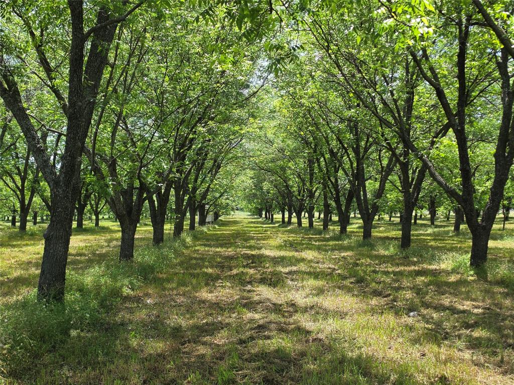 Tbd Cr 446 Property Photo 1