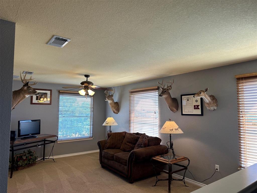 2901 Wind Mill Court Property Photo 17