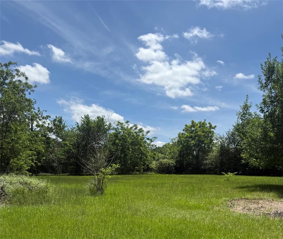 700 Kim Court Property Photo 4