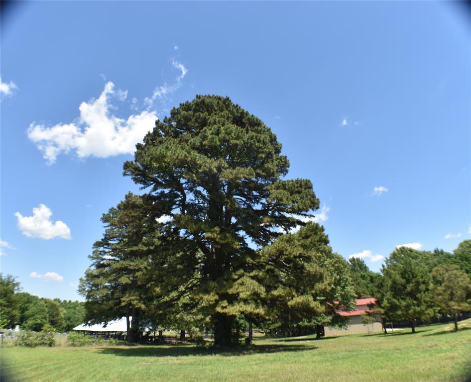 134 County Road 2749 Property Photo 40
