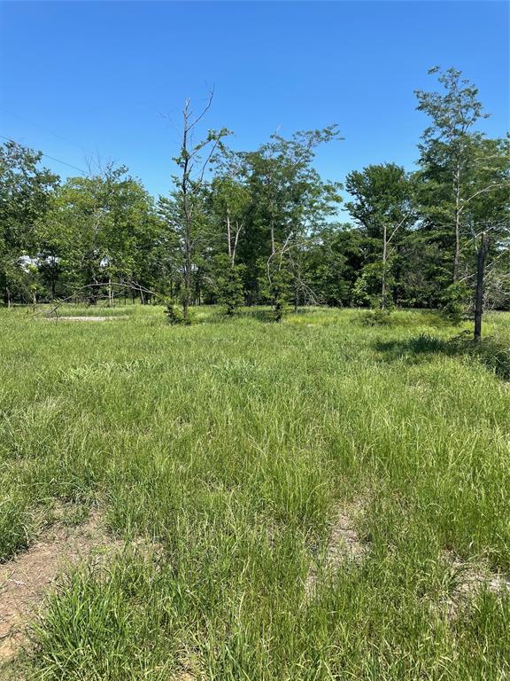 896 Blue Bird Property Photo 1