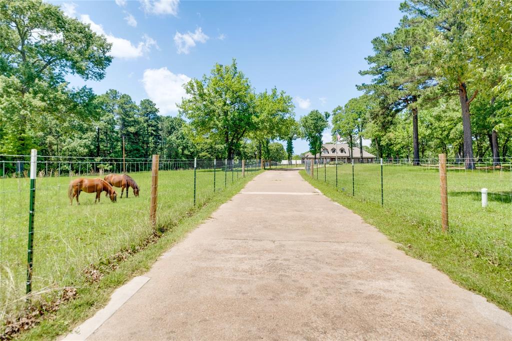 231 An County Road 2105 Property Photo 3