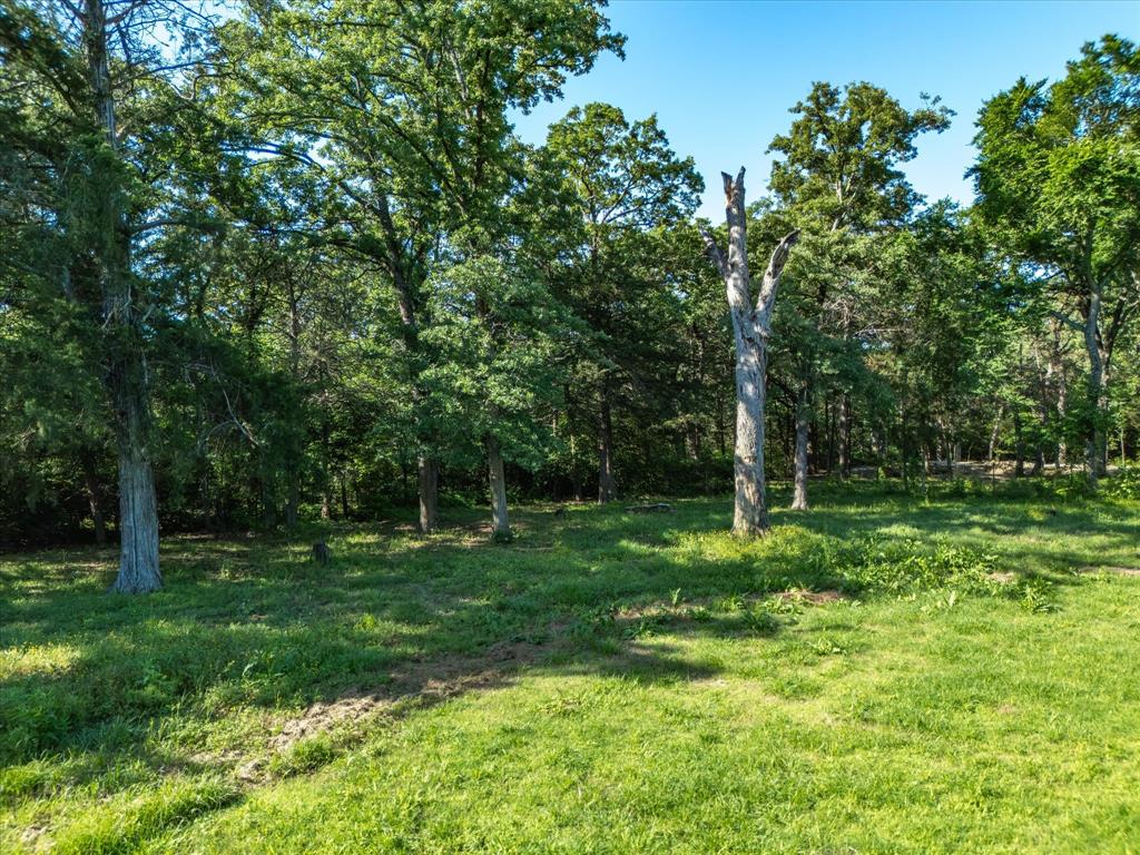 1605 Frann Drive Property Photo 8