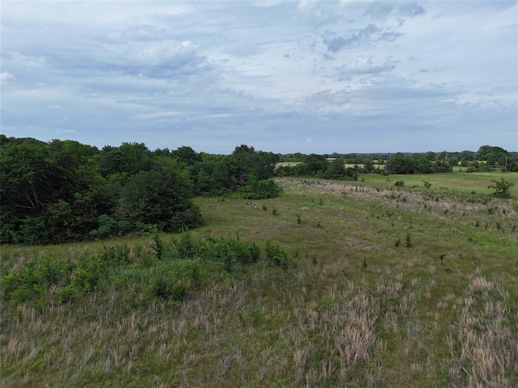 9774 N State Highway 78 Property Photo 3